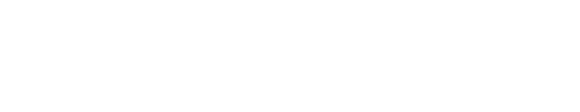 RAYs holdings 株式会社レイズホールディングス